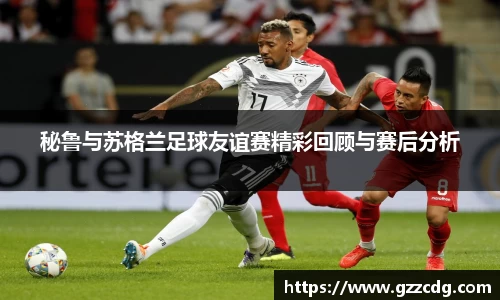 韦德体育官网