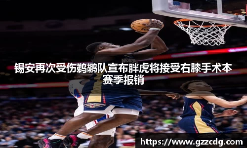 锡安再次受伤鹈鹕队宣布胖虎将接受右膝手术本赛季报销